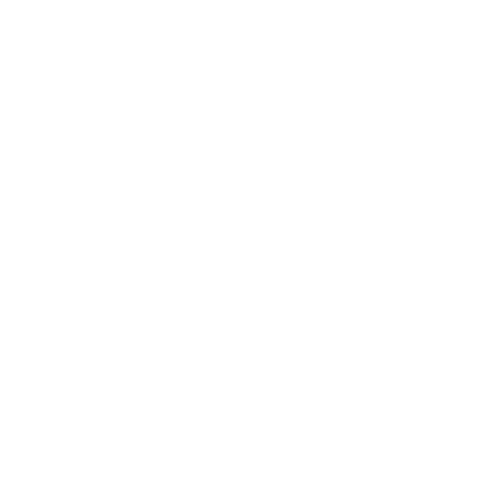 Logo mfr st martin 2020 VF version ST 06